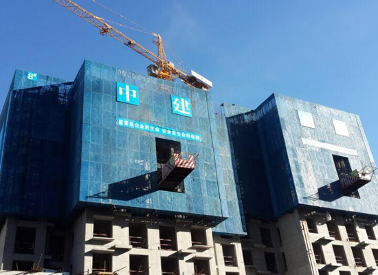 建筑爬架網(wǎng)片 建筑爬架網(wǎng)片